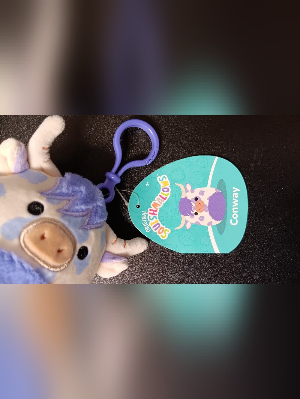 Conway Keychain (New)